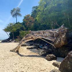 Bamboo Island