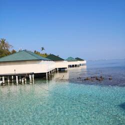 Water bungalows (that we thankfully didn't have)