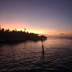 Because it's so damn beautiful