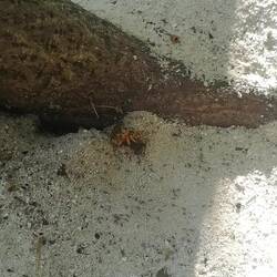 I've been very fascinated