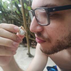 Oscar the hermit crab