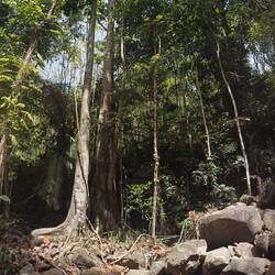 Kathu Wasserfall