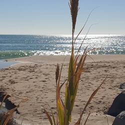 Der eingezäunte Stellplatz liegt direkt an einem schönem Strand.