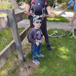 Ein Mats mit Geweih 🦌