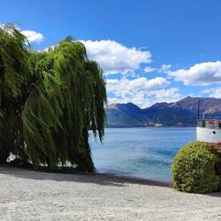 Was für ein cooler Baum :)