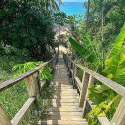 Alte, steile Holztreppe zur Naython beach