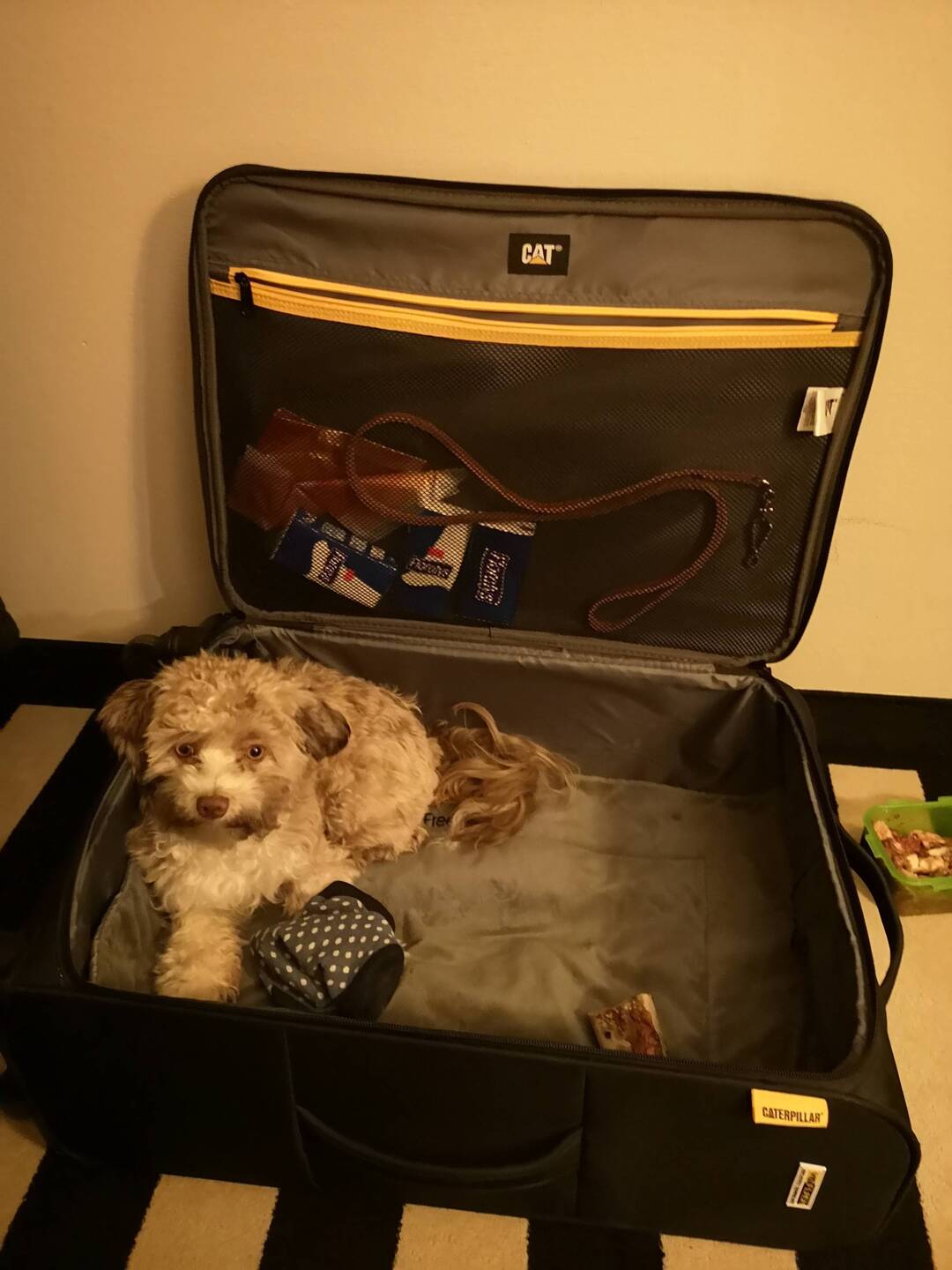 Luggage-Luni