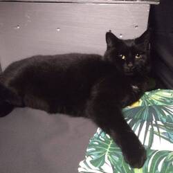 Nous ne l'avons toujours pas perdue !!