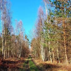 Und plötzlich war der Nebel verschwunden!
