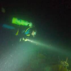 ...uuuund abgetaucht!😉