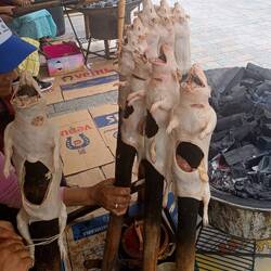 Voedsel vergiftiging in de maak! En dan spaar ik jullie nog de gehele varkens aan het spit...