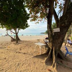 ...und so sah es hier noch letztes Jahr aus.