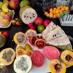 Unsere mehr oder weniger unbekannten Errungenschaften von dem Fruchtmarkt, wo wir am Sonntag waren