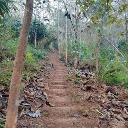 Top Wanderwege, aber kein Ende in Sicht 😅