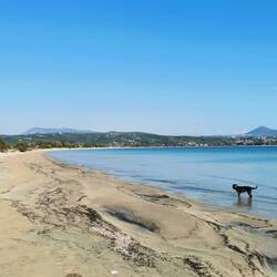 Na? Sieht man mein Auto?