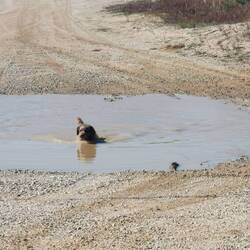 Da wollte ich eigentlich durch, aber mein haariger Tiefenmesser hat mich umdenken lassen