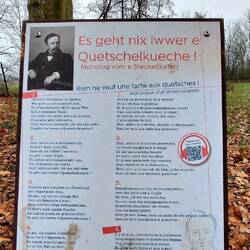 ...unvergessenen "Gustave Stoskopf"