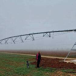 Tauchte aus dem Nebel auf und warf Fragen auf, was ist das für ein Monster??