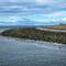 Penguin landscape