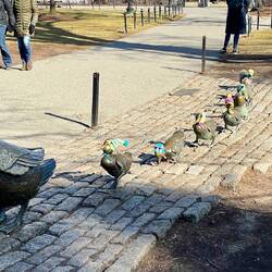 Mother Duck and her ducklings sculpture in Boston Common