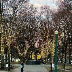 Commonwealth Avenue by night