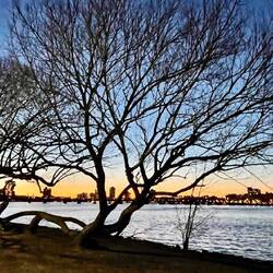 Winter's night by the river