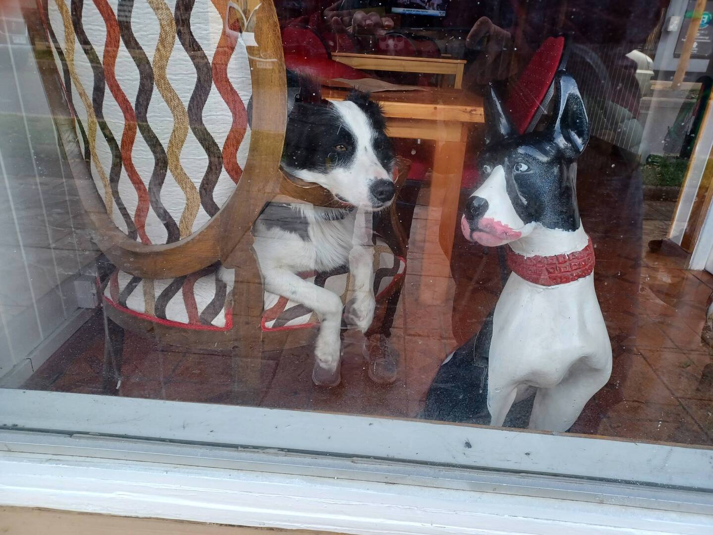 Wo die Liebe hinfällt