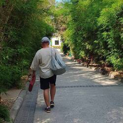 Der Weg zum Stand