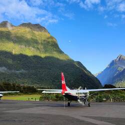 Angekommen! Was für ein schönes Lichtspektakel. :) Und so wundervolle frische Regenwald-Luft