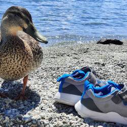 Und das ist die freche Ente, die meine Füße knabbern wollte.