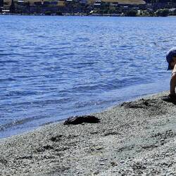 Der kleine ist beschäftigt:)