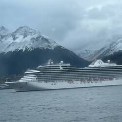 The Marina is in Town