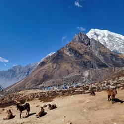 Esel vor Dorf mit Sarah