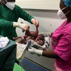 En daar is het tweelingbroertje