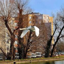 Was sagt man dazu?🙂