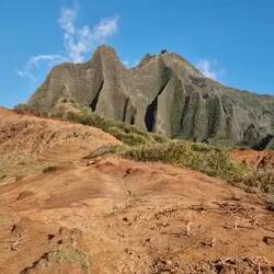 Süße Begleiter entlang des Weges
