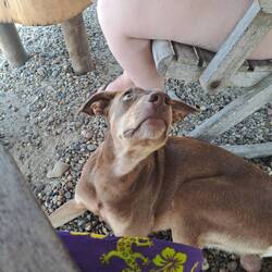 ...für dich auch nicht 🤷🏼‍♀️