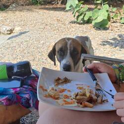 Oooooch, leider nicht für dich mein Freund 😅