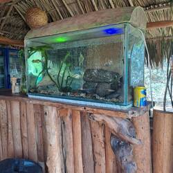 Kein Kommentar 😱🙈