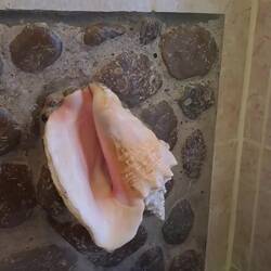 Unser Lavabo... 🤭