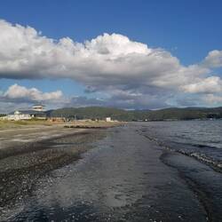 Beach by Petone, near Wellington