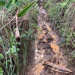 So sieht der Großteil des Rückweg aus