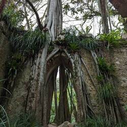 Chapel ruins of Monserrate