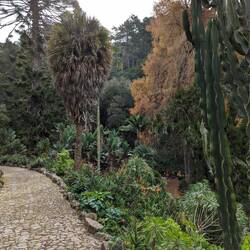 Mexico Garden @ Monserrate