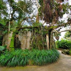 Chapel ruins of Monserrate. See comments for more info.
