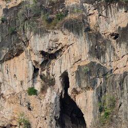 Aus dieser Höhle kommen die Bats raus