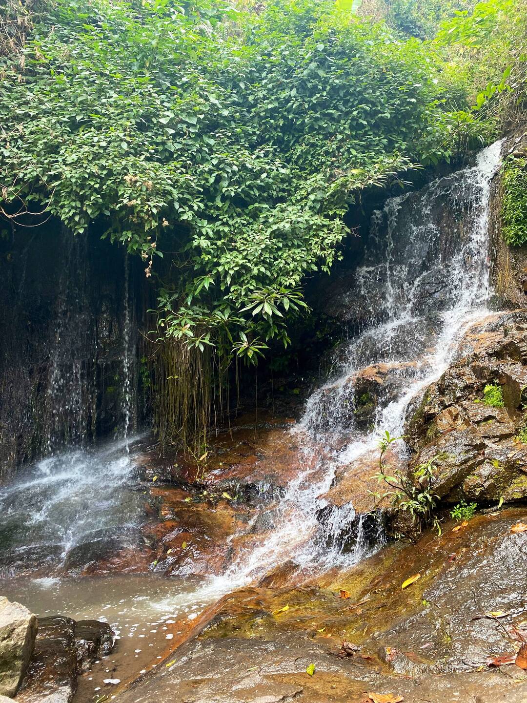 Wang Bua Ban Pha Ngoep