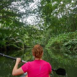 Mit dem Kajak den Fluss hinauf