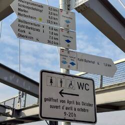 Hier startet der 150 km lange Rheinaueweg bis Weil am Rhein!