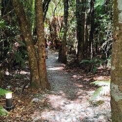 Und dann ging es schon durch den urigen Wald zurück.